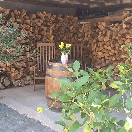 Gaestehaus Ringhof Florsheim-Dalsheim Zewnętrze zdjęcie