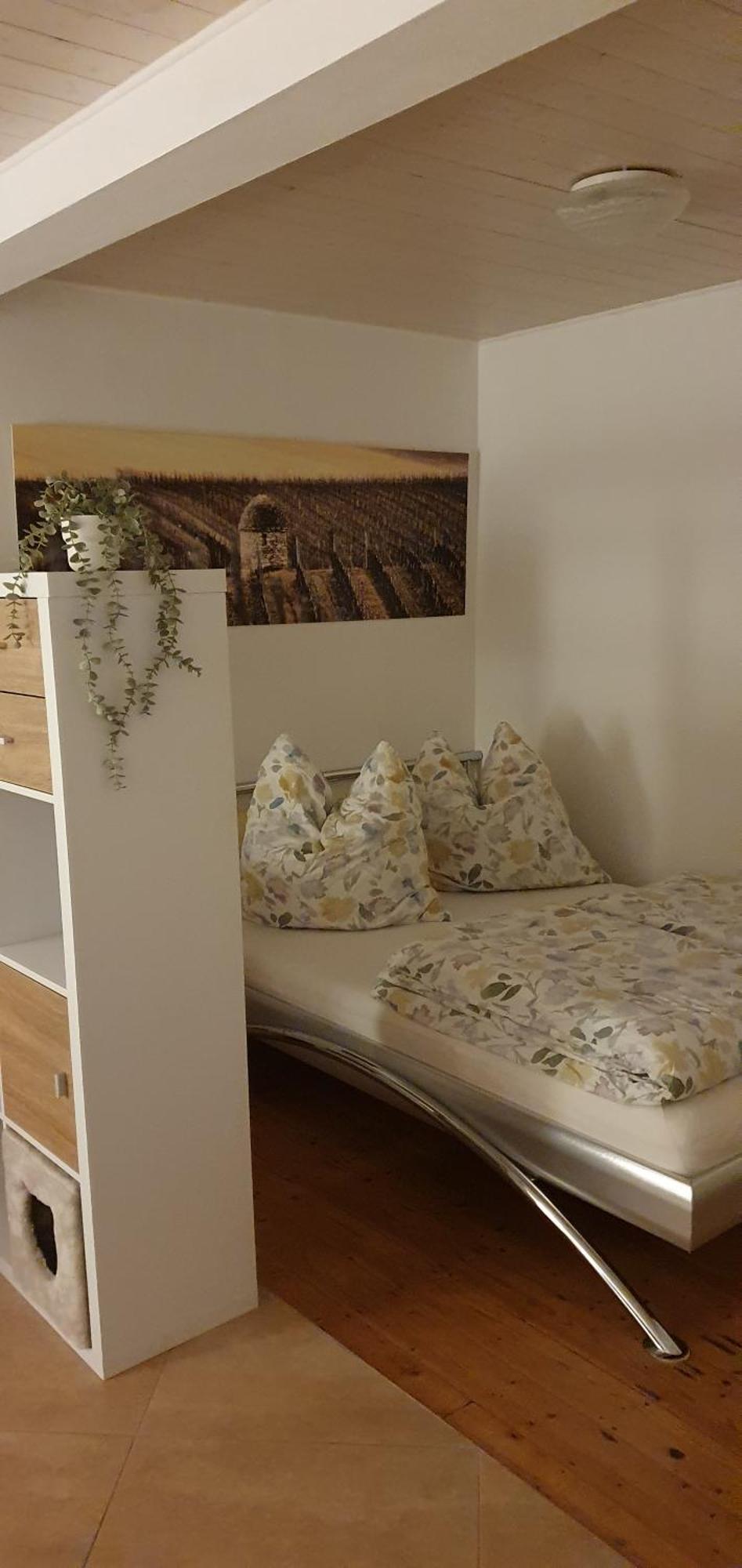 Gaestehaus Ringhof Florsheim-Dalsheim Zewnętrze zdjęcie