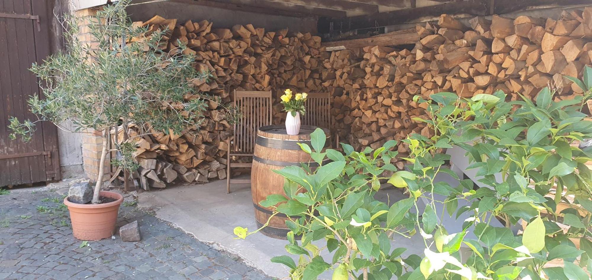 Gaestehaus Ringhof Florsheim-Dalsheim Zewnętrze zdjęcie